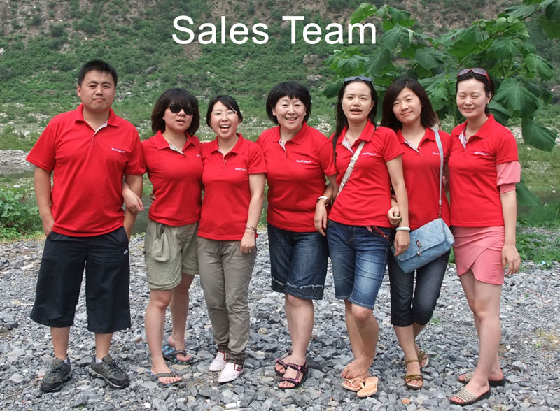 SteelTailor sales Team